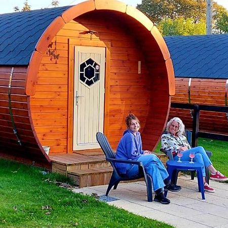 Отель Glamping At Treegrove Килкенни Экстерьер фото